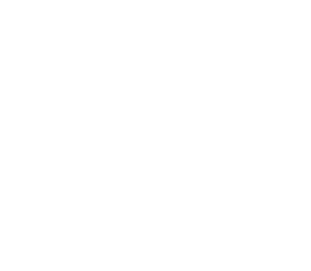 Salt and Pine Cleaning Logo